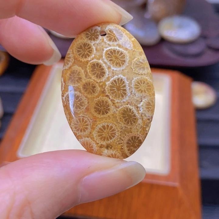 硅化珊瑚（珊瑚玉）未镶嵌颈饰竹**感