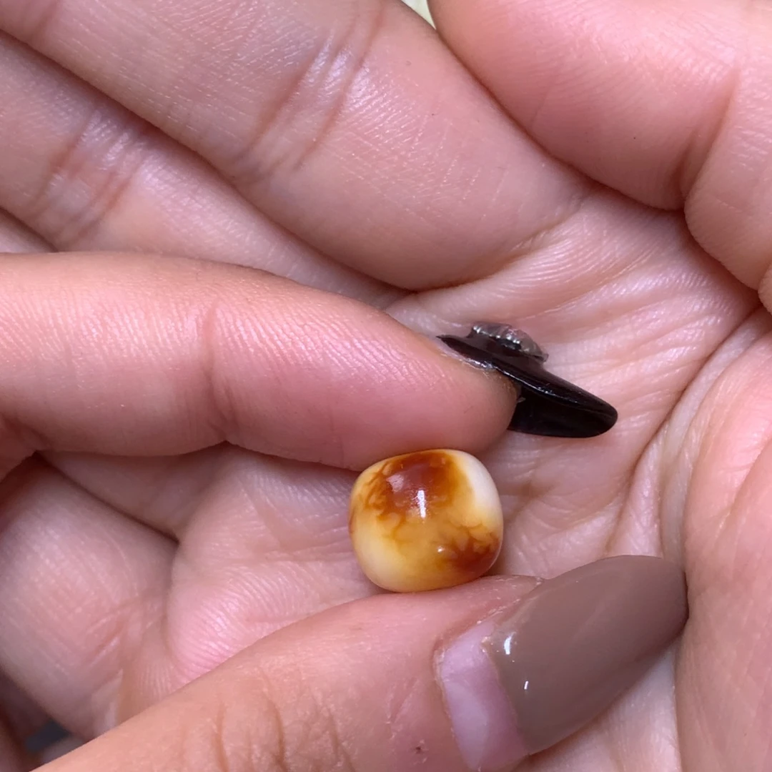 琥珀未镶嵌裸石蜜蜡12.4