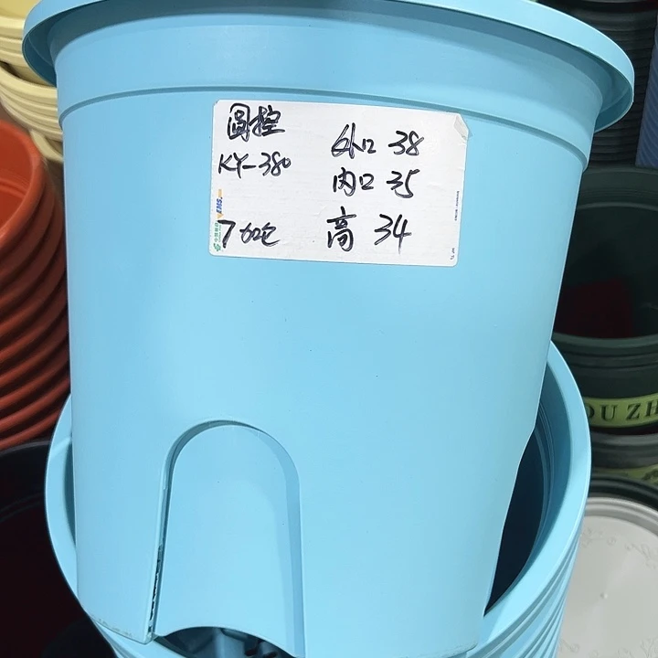 特价圆控口38高34蓝色无托3只