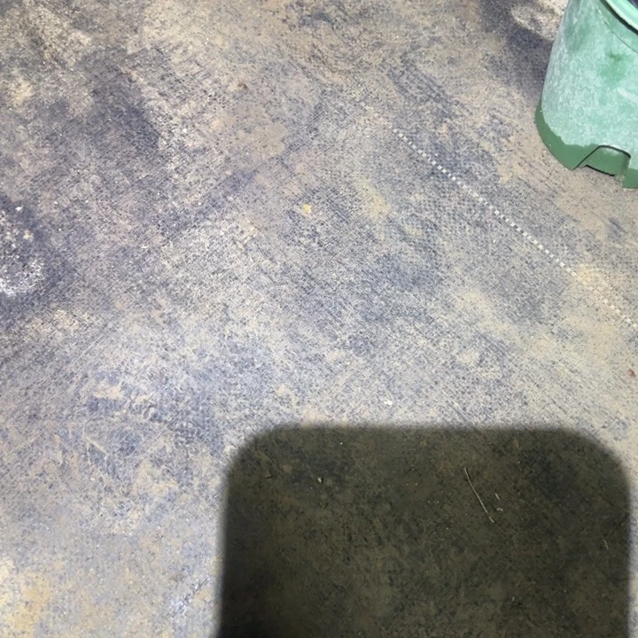 比***哥天使45894368964689