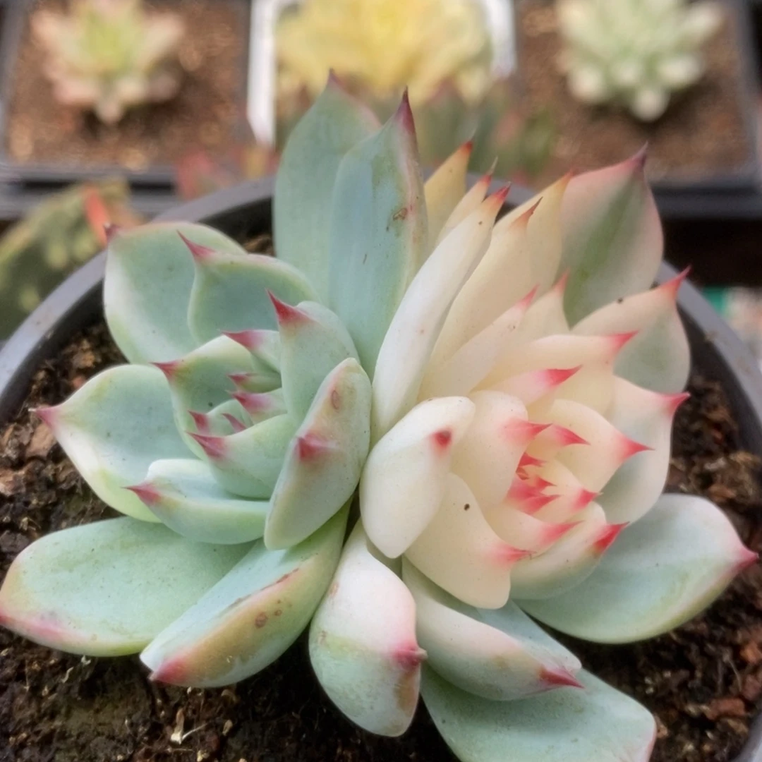 560锦锦锦锦锦锦锦锦