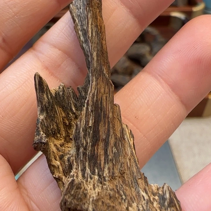 摆件沉香海南野生厚包头1.8克