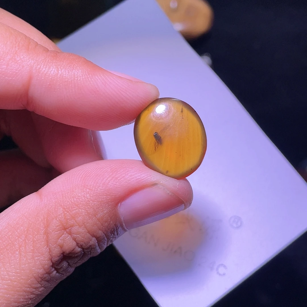琥珀裸石未镶嵌，