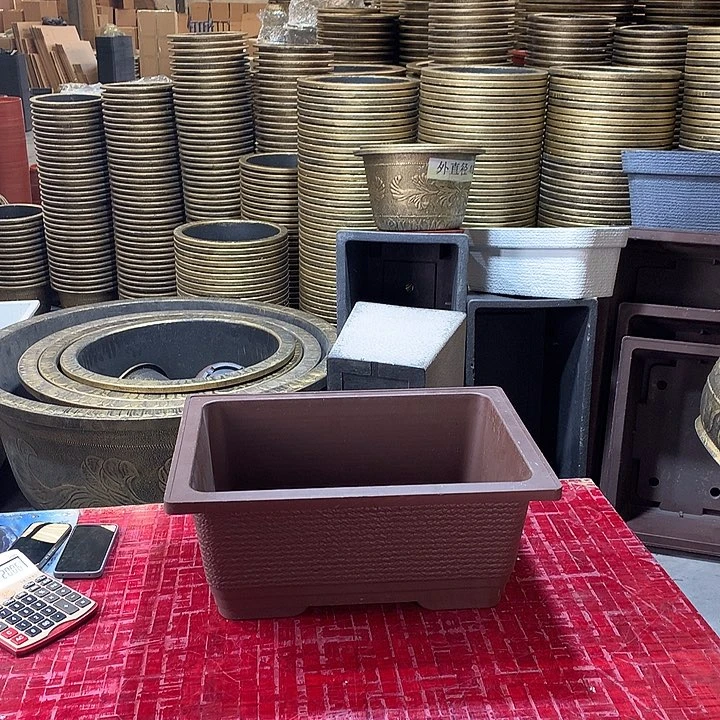 复合初****花优惠活动