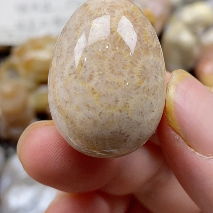 颈饰未镶嵌硅化珊瑚（珊瑚玉）有瑕