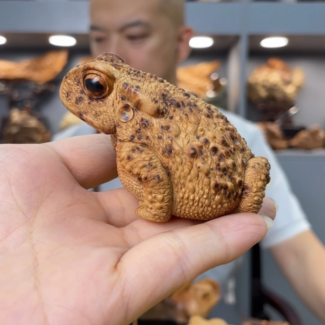 太行崖柏陈化瘤三足金蟾7cm