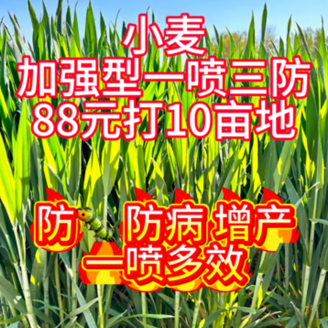 加强版小麦一喷三防 一套10亩地