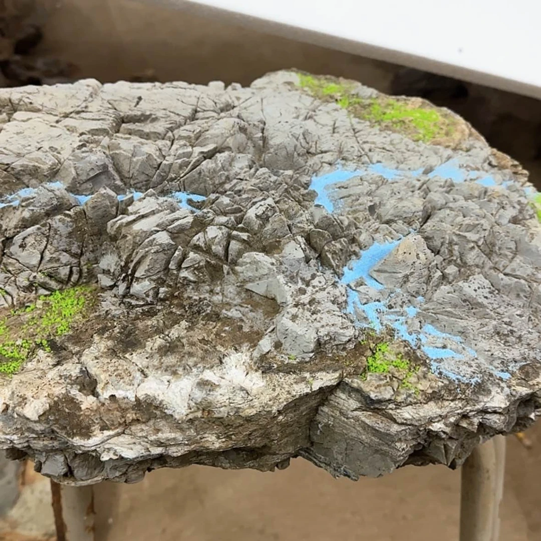 【闪购商品】香榧木古*破历史悠久了咯