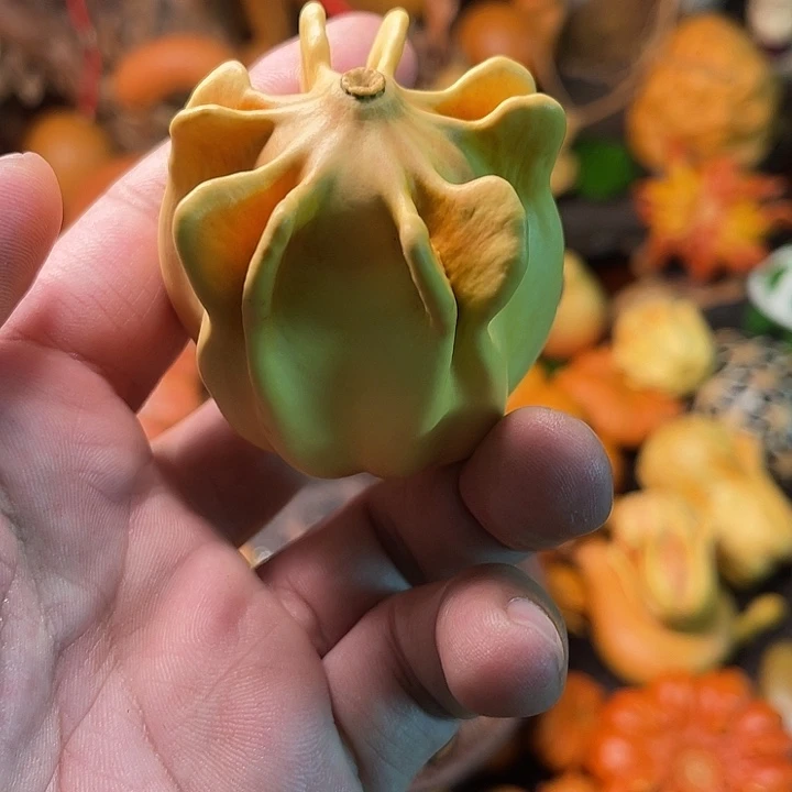 …***y螺旋桨葫芦葫芦葫芦