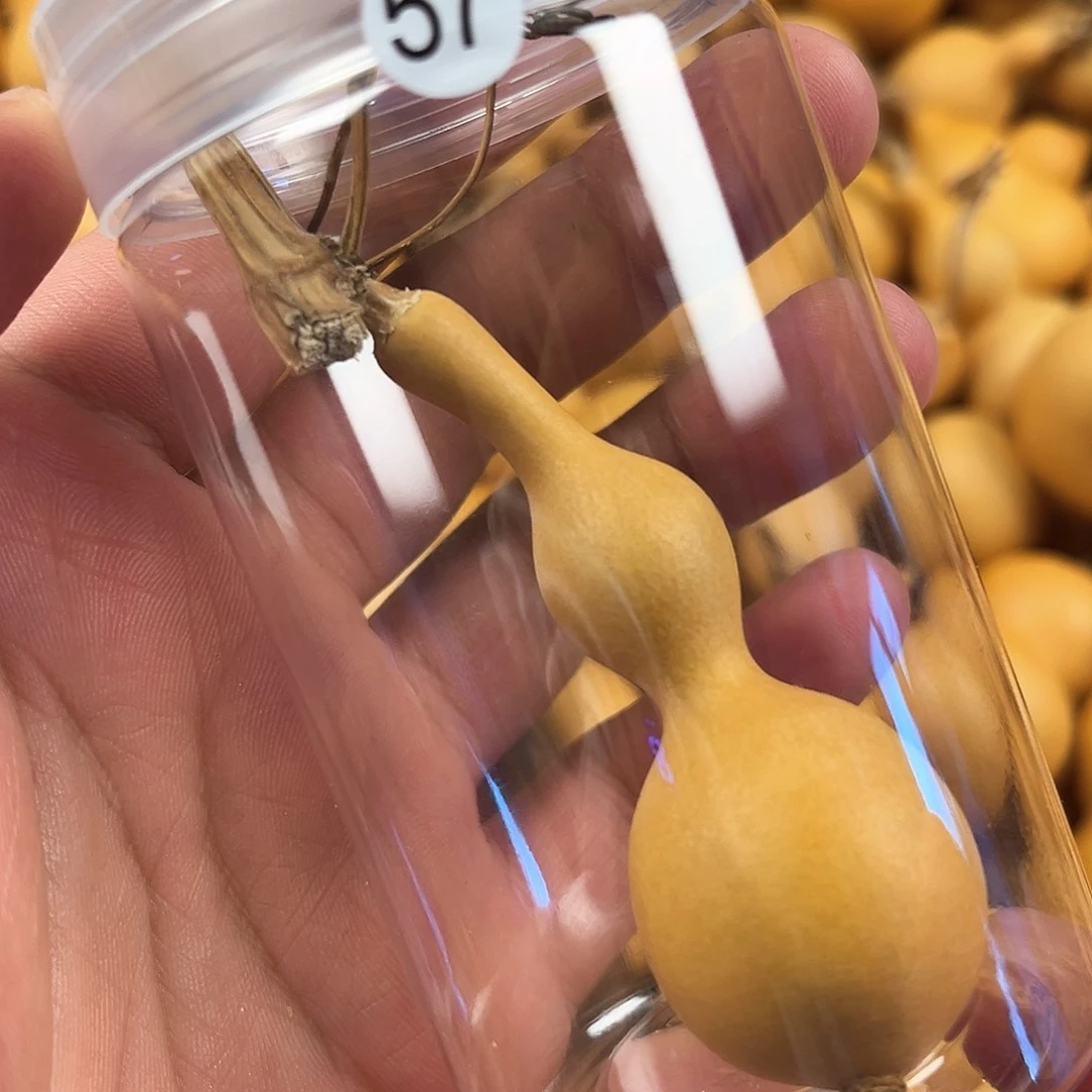 三葫芦葫芦葫芦葫芦 57