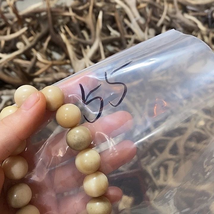 樹***无非金属鹿角鹿角