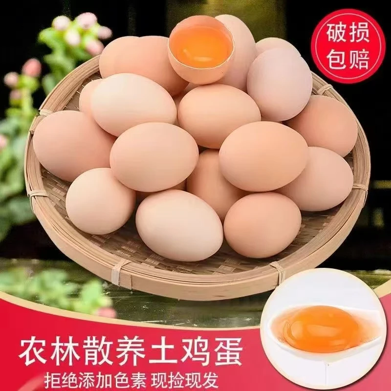 【可生食】林下果园散养土鸡蛋现捡现发五谷喂养土鸡蛋