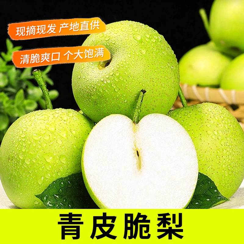 当季新品原产地直发新鲜水果青皮密梨脆甜多汁无渣脆甜皮薄肉厚