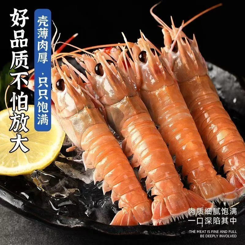 小号(净重3斤)海鳌虾深海新鲜高端日料刺身生腌生呛海鲜顺丰包邮