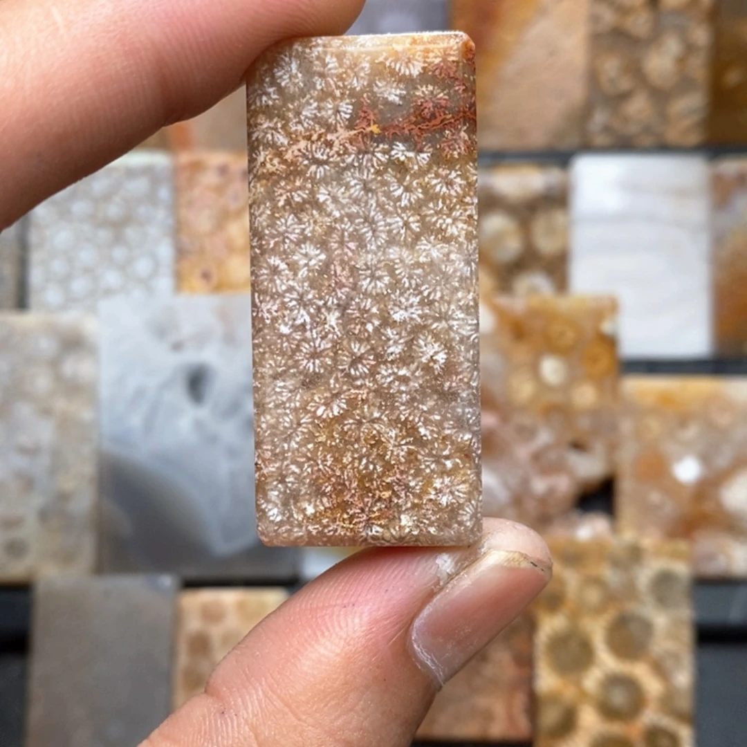 铃***光硅化珊瑚（珊瑚玉）未镶嵌颈饰