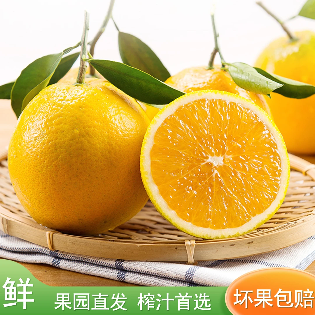 【应季鲜果】正宗湖北秭归伦晚甜橙冰糖橙果冻橙秭归橙子水果脐橙