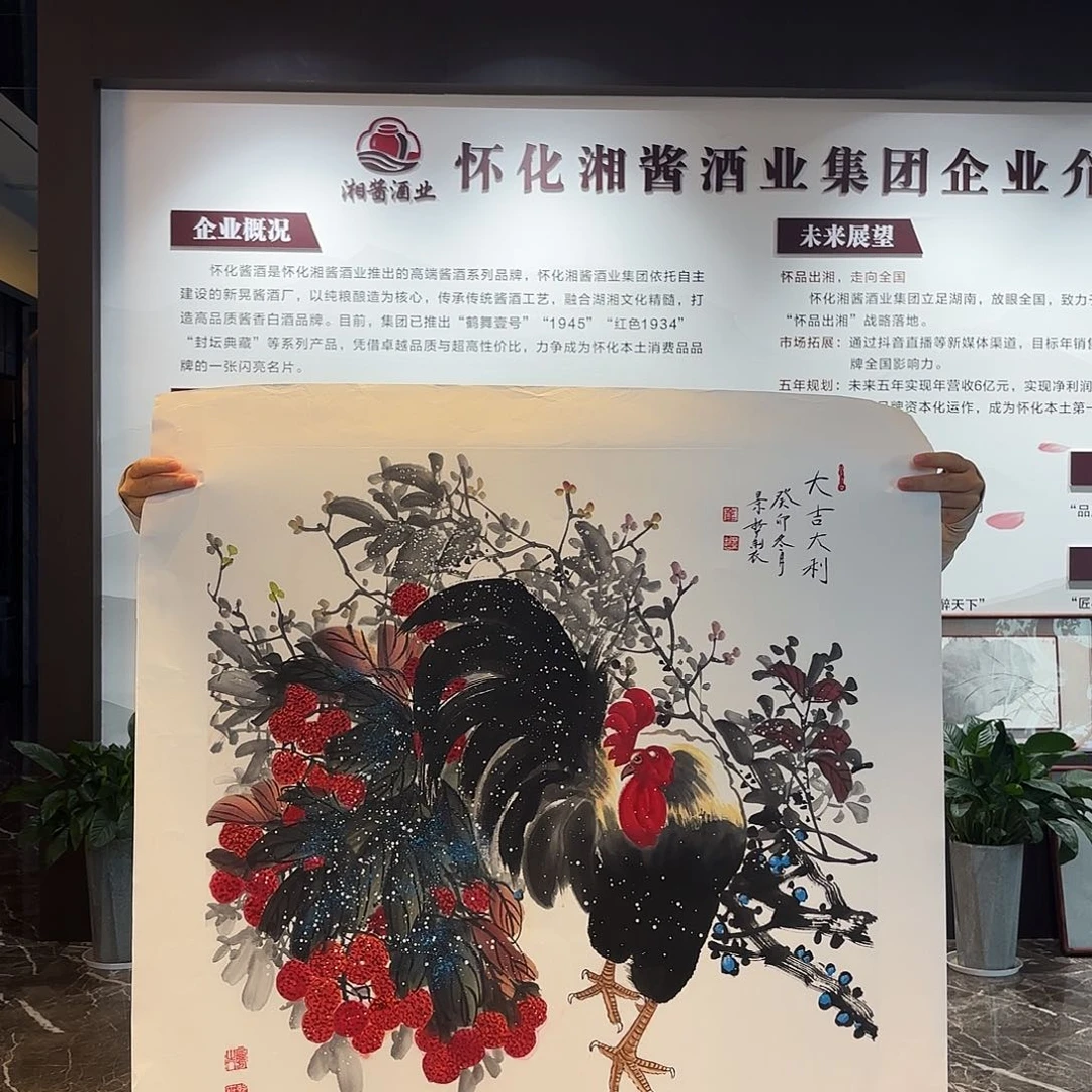 横款精品书画大画册
