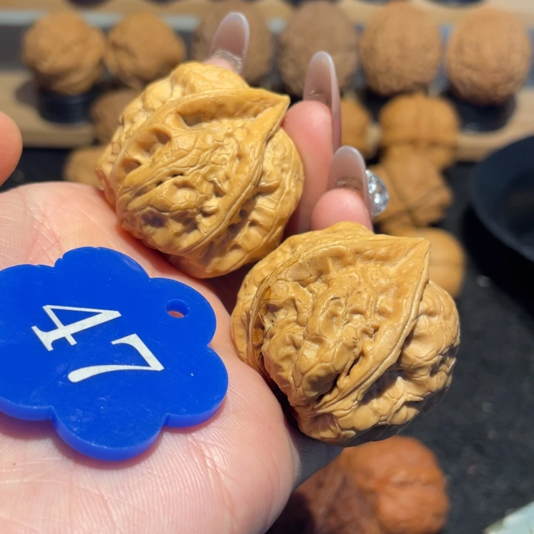 *****生命之源核桃37。