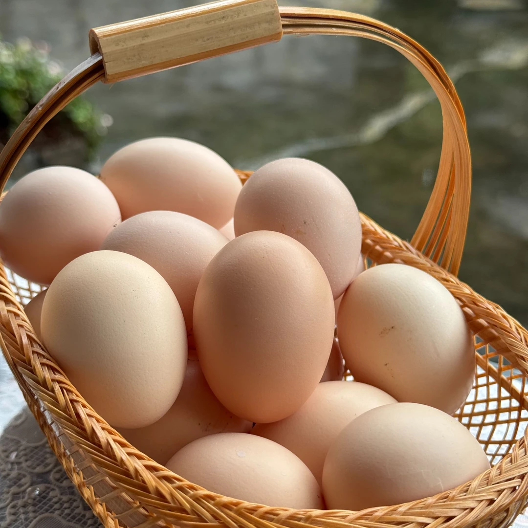 农家散养新鲜蚯蚓蛋现捡现发营养美味