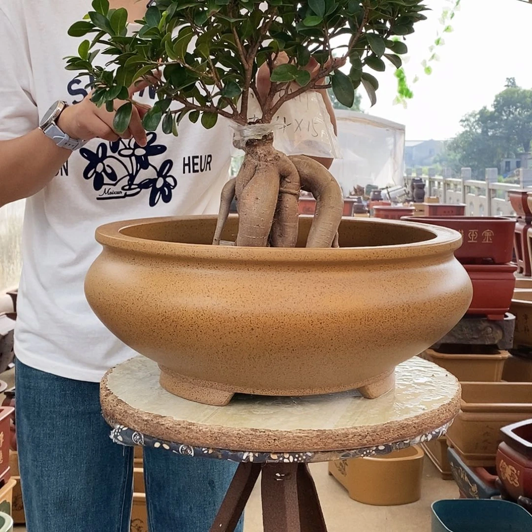紫砂花盆紫砂花盆