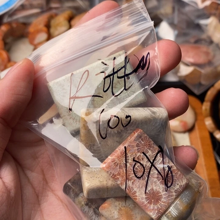 k***y颈饰未镶嵌硅化珊瑚（珊瑚玉）