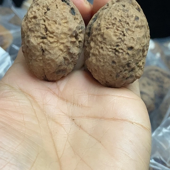 文玩核桃把件云南铁核桃基地96