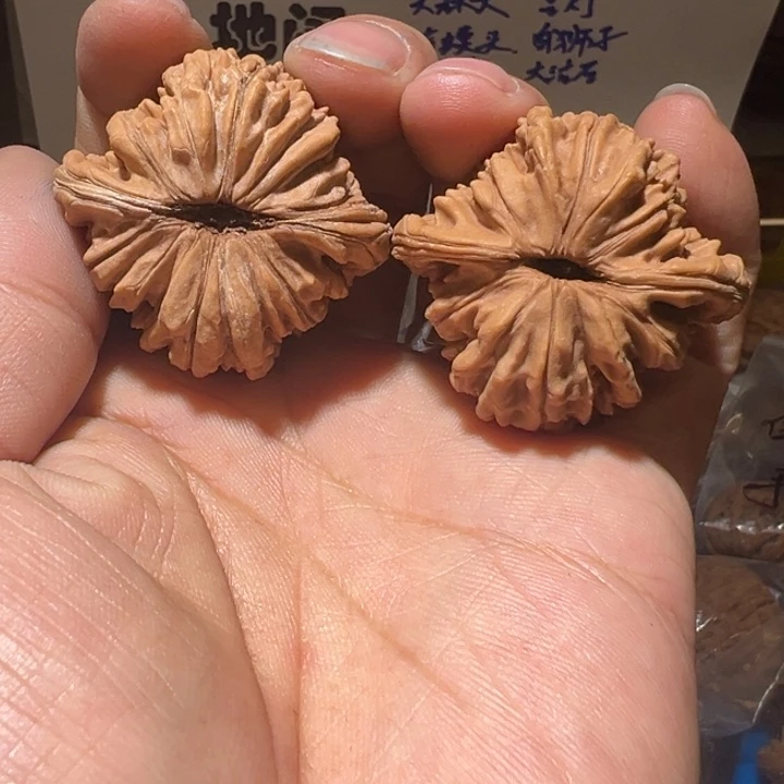 星***海核桃全品无修蓟县四座楼