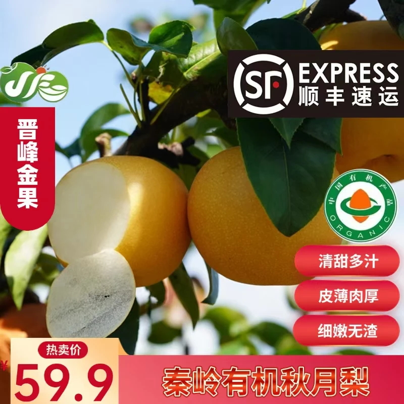 【顺丰包邮】洋县秦岭现摘有机秋月梨新鲜甜脆爆汁大果家庭中秋礼盒