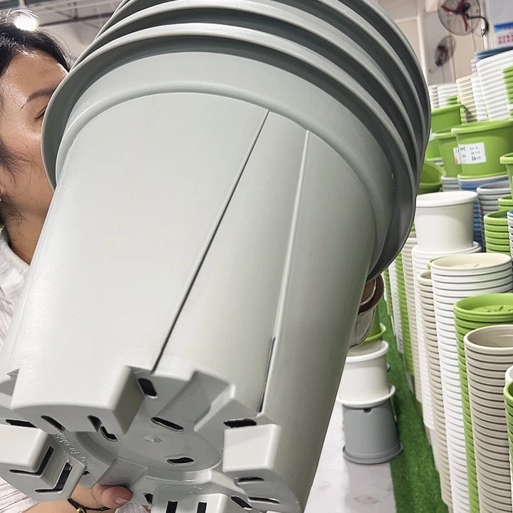 正品青山口32高28灰白色5只无托