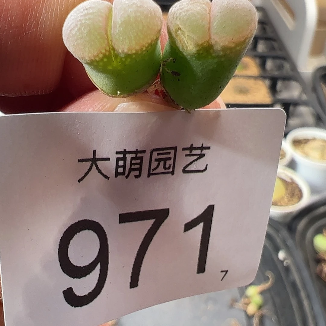 0000691 一物一拍……