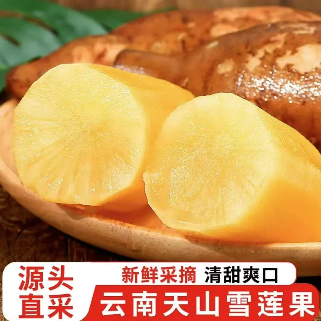 正宗云南天山雪莲果新鲜现挖当季新鲜应季水果清甜脆爽多汁-W