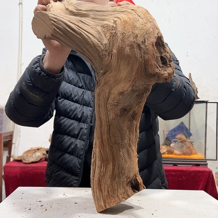 柏木柏*我们的生活是以自己
