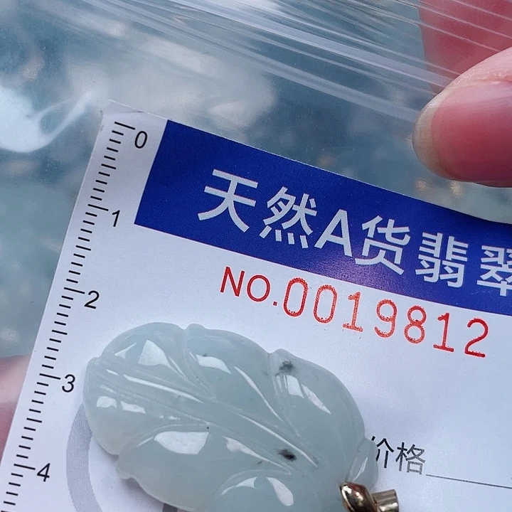 吊坠(赠链)未镶嵌翡翠