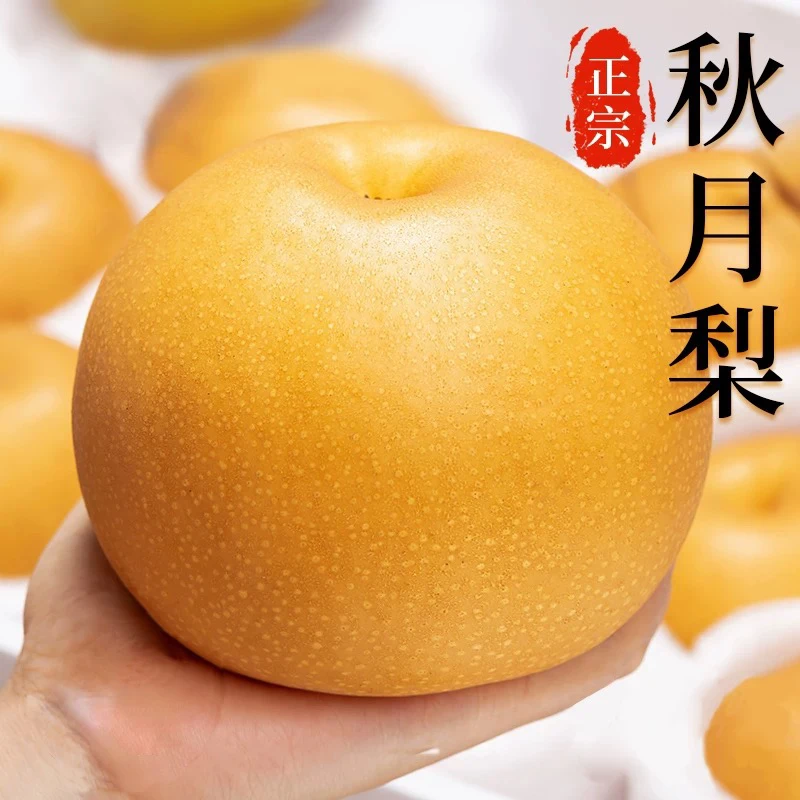 正宗烟台莱阳秋月梨【小糖豆】当季水果新鲜采摘皮薄肉厚脆甜可口