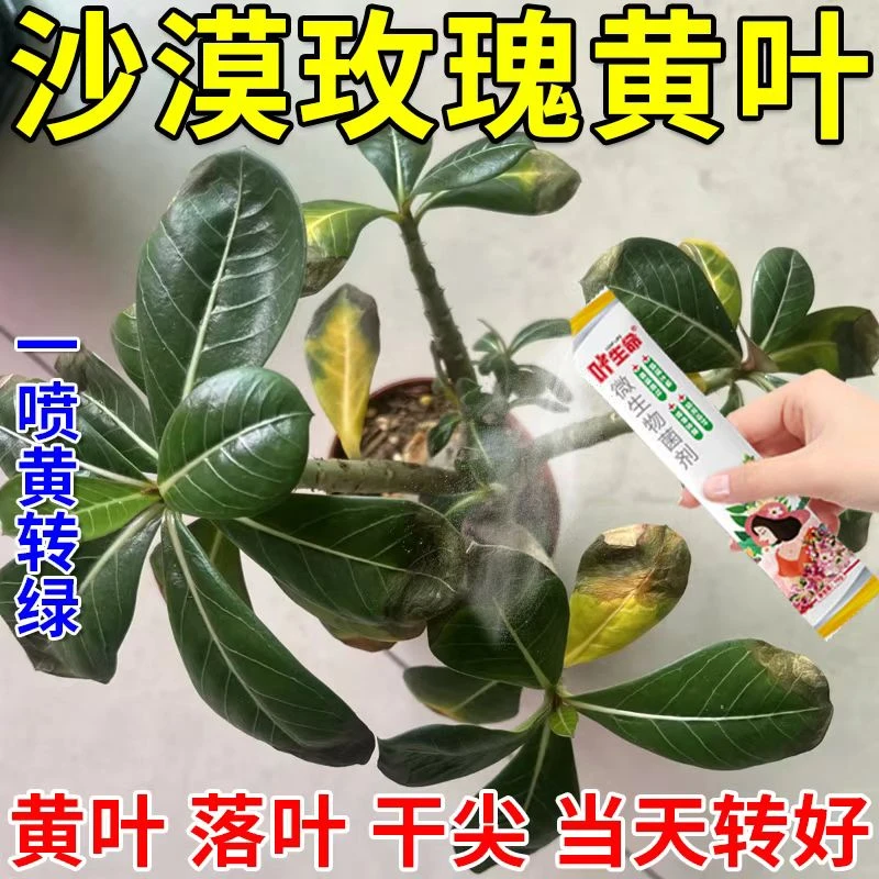 沙漠玫瑰专用黄叶掉叶枯枝不开花专用绿叶壮苗促开花微生物菌肥