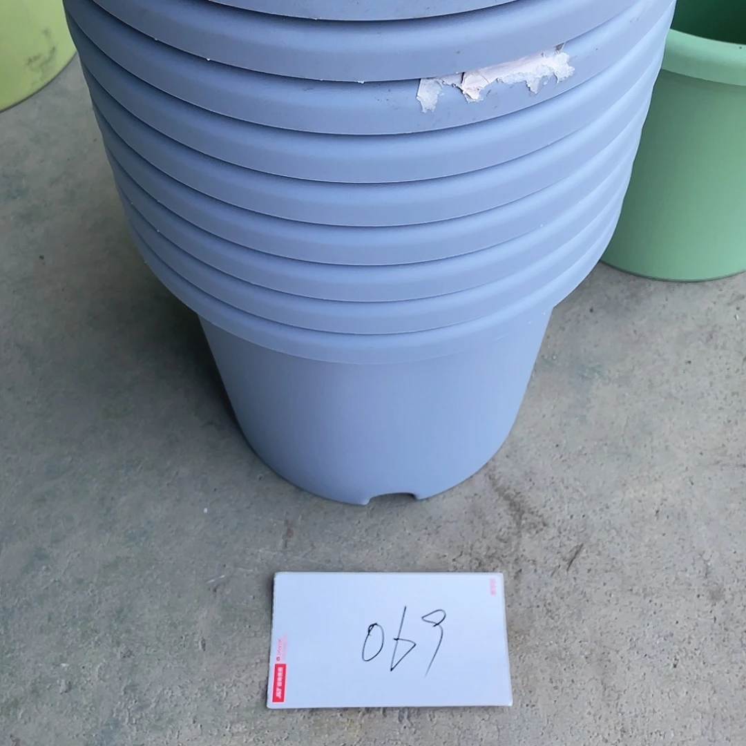 编号是069号的069号的