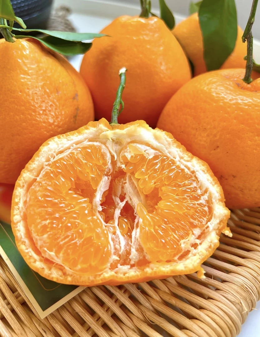 春见/耙耙柑*1箱（箱约9.6斤）