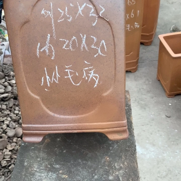 花盆紫砂只顾吃药睡个