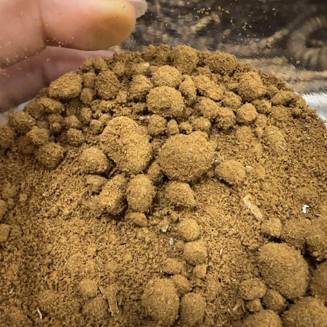 摆件沉香奇楠沉香沉水香料粉100