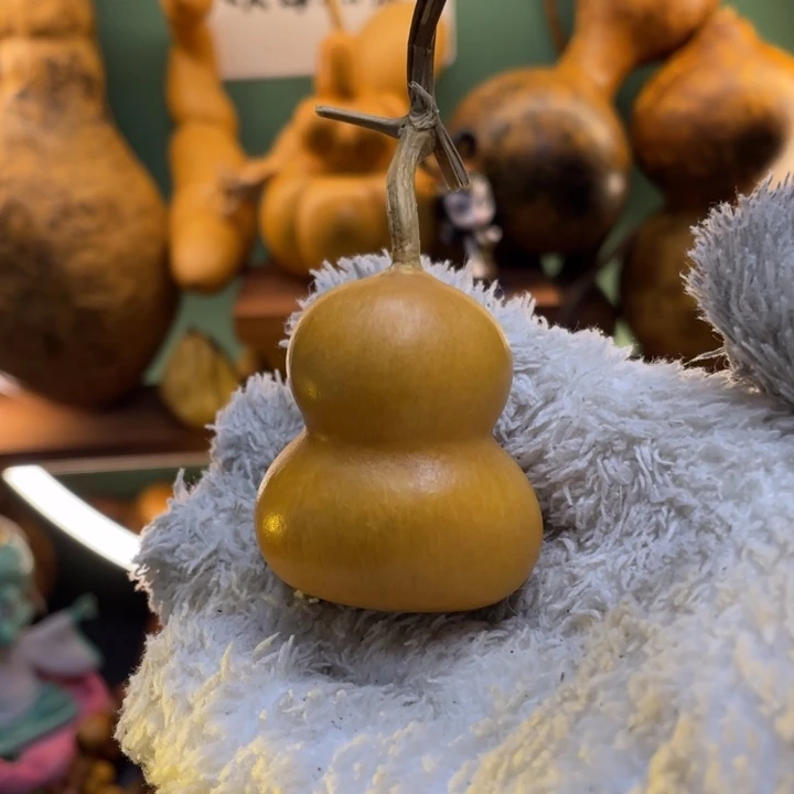 看好下单不保龙头