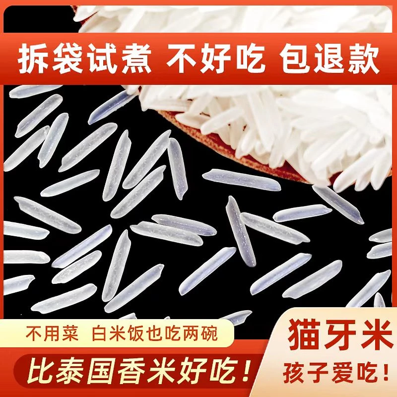 长粒香猫牙米2025新米10斤厂家直发