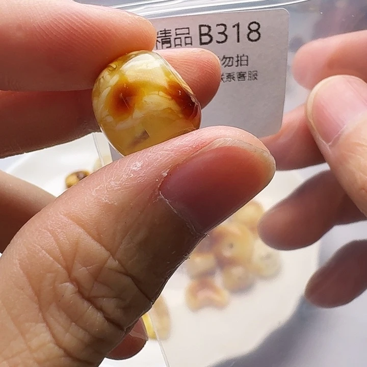 裸石琥珀未镶嵌琥珀