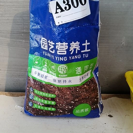 当前无花栽培后可以开花300
