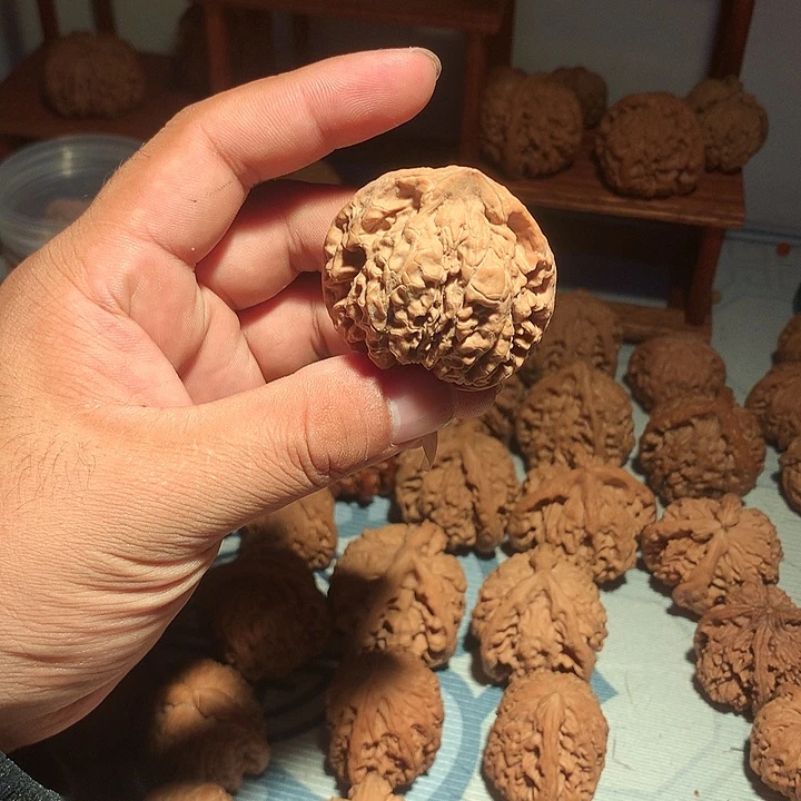 文玩核桃把件官帽蛇头