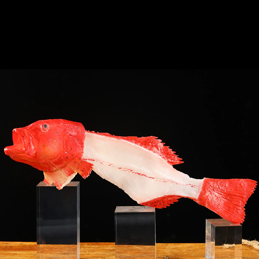 东星斑模型 东星斑圆形  东星斑竹排模型 东星斑翅膀