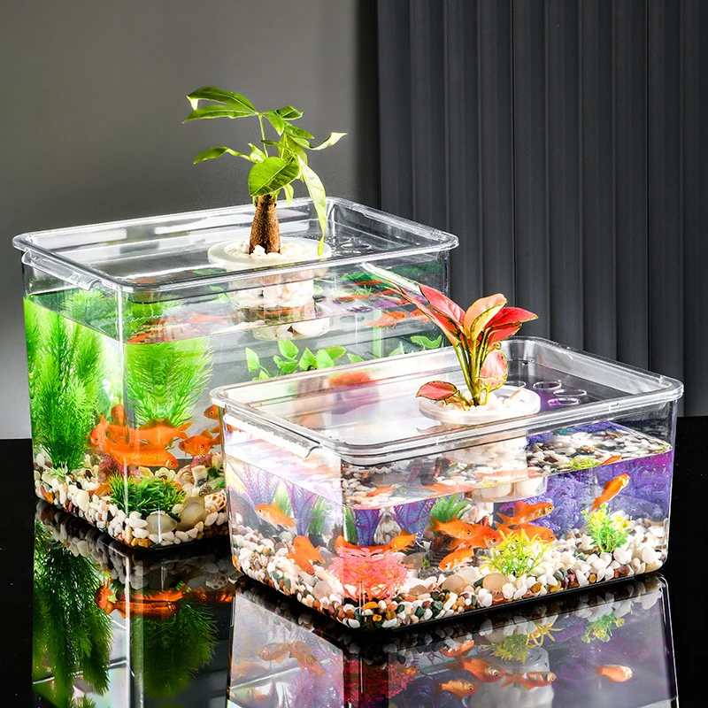 微景观办公室桌面摆件 生态缸造景装饰龟缸 透明植物生态龟缸