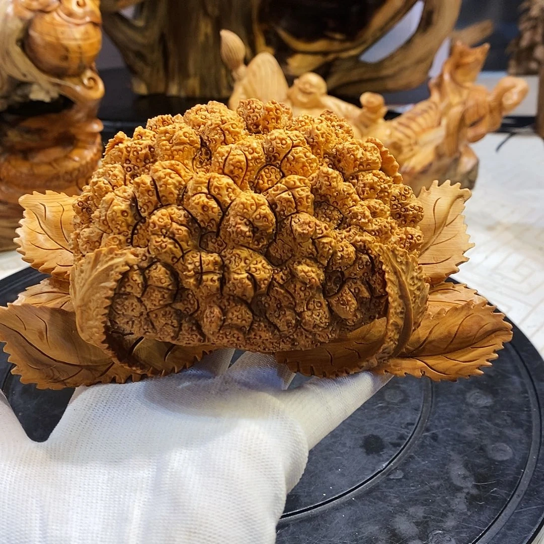 柏木（崖柏）崖柏柏木