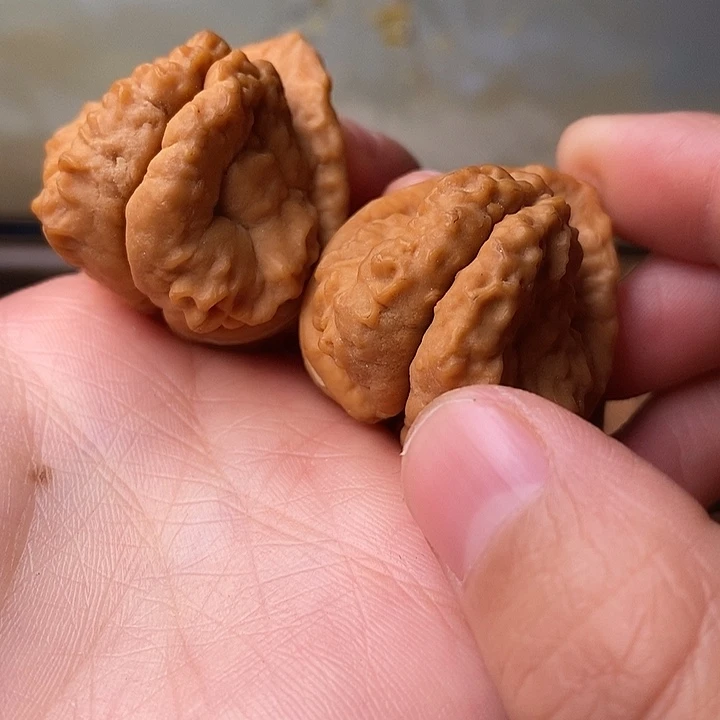 吊坠文玩核桃铁核桃2