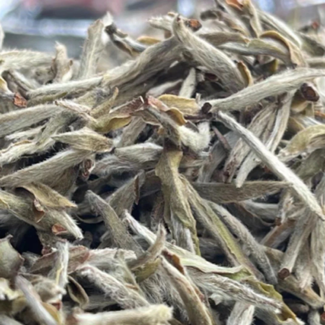 亳香蜜韵2018年首采野生银针