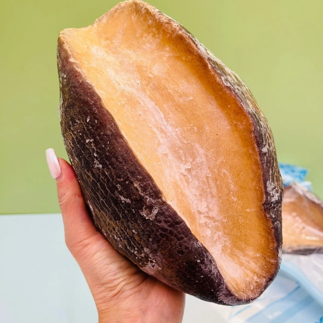 顺丰俄罗斯风味无冰深海大鲍罗 大鲍螺肉鲜嫩刺身帝王鲍塞内加尔